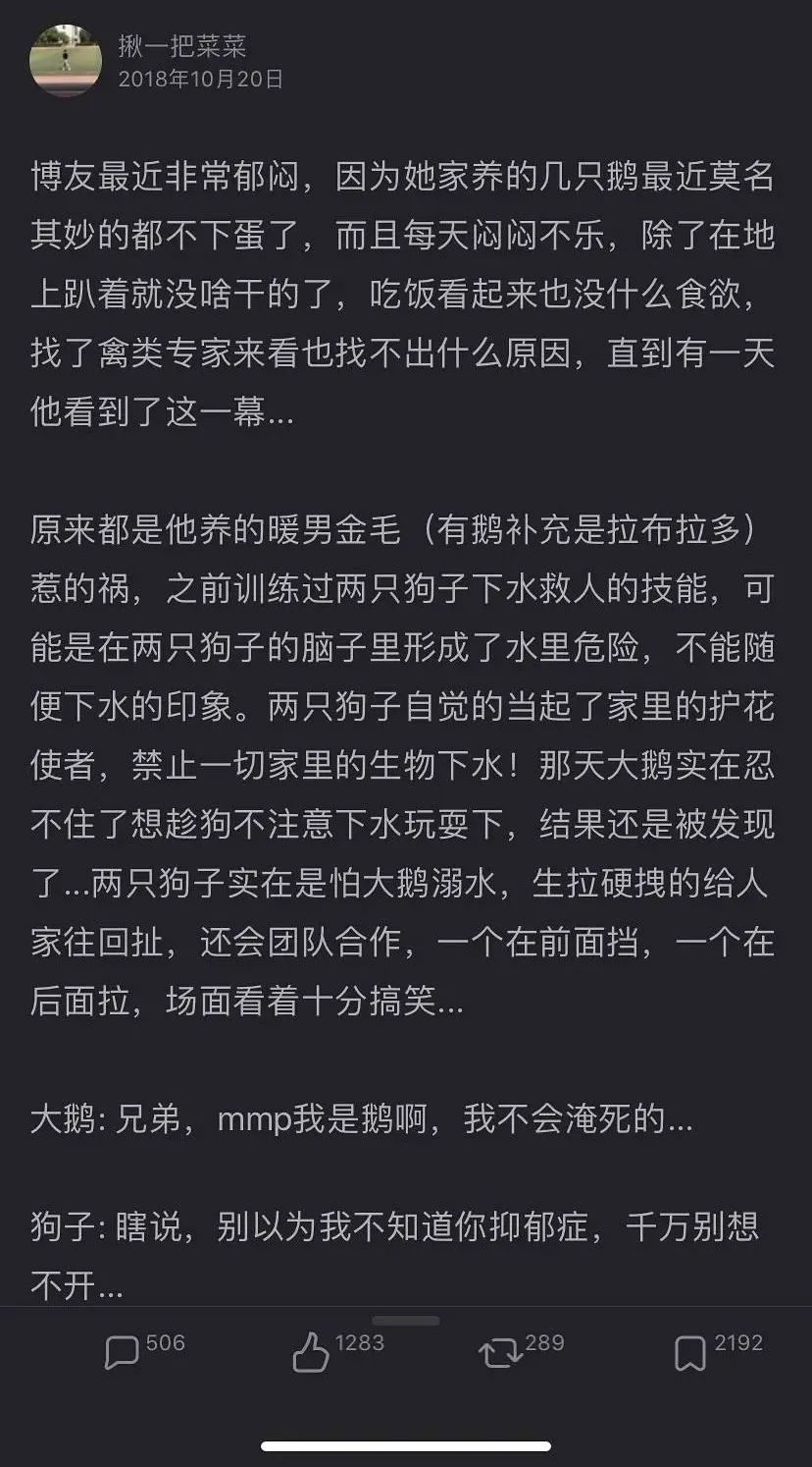 日本ekoDWorks新推出的“视觉陷阱T恤”，大写的尴尬哈哈哈哈”