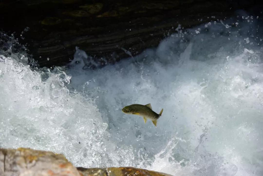 离西安近的秦岭山,西安秦岭九寨沟
