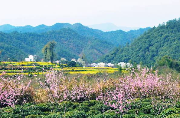 五一武汉市周边游,五一武汉周边短途旅游推荐