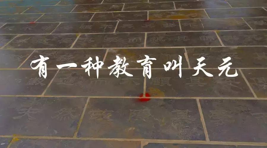 重新发现虞城之四：有一种教育叫天元