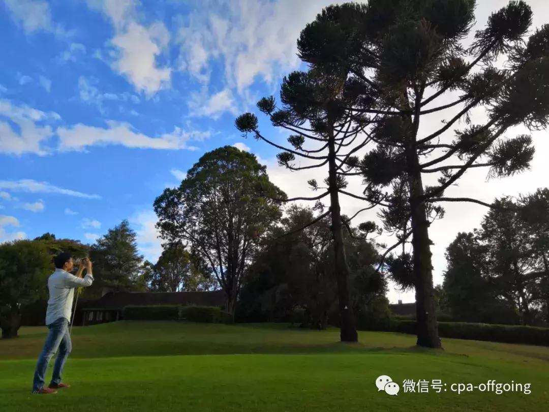 这个野奢的国度，欧美、日韩人都爱去，为何我们国家没人去？