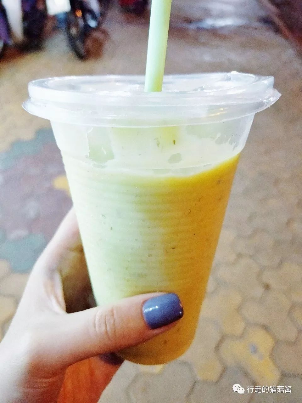 越南美奈跟大叻哪个更值得去,胡志明美奈大叻游