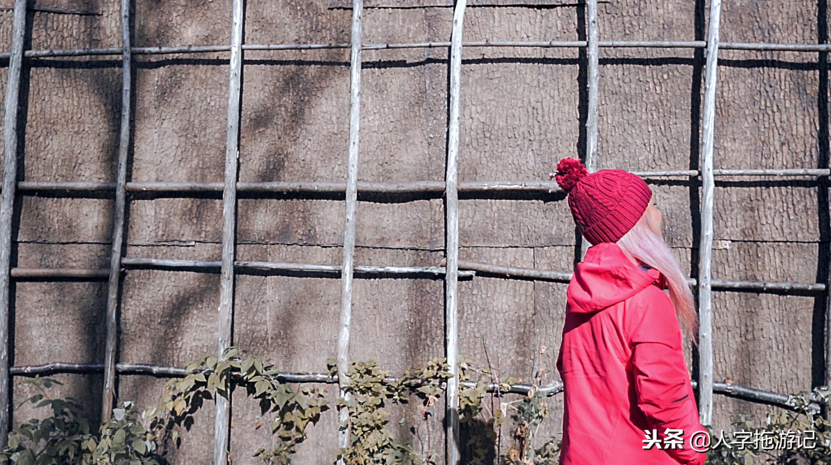 冬日极客,加拿大Wendake穿着狼爪去狼族