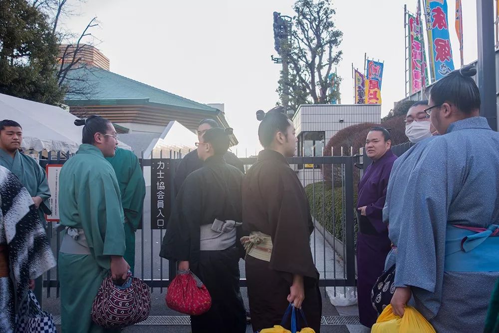 为什么日本人喜欢看两个胖胖“打架”？