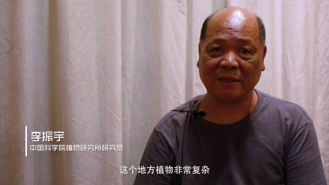 从世界地图看湖南,世界看湖南