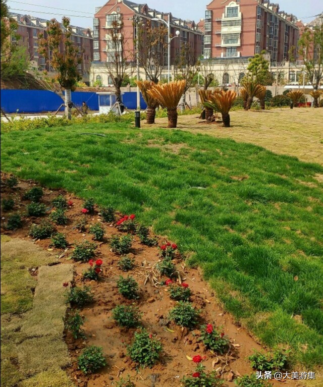 萧县人民医院最新图片,萧县人民医院新院区平面图