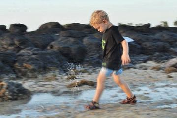 郑氏牛宝宝取名大全2021男孩,牛宝宝取名男孩小名带水