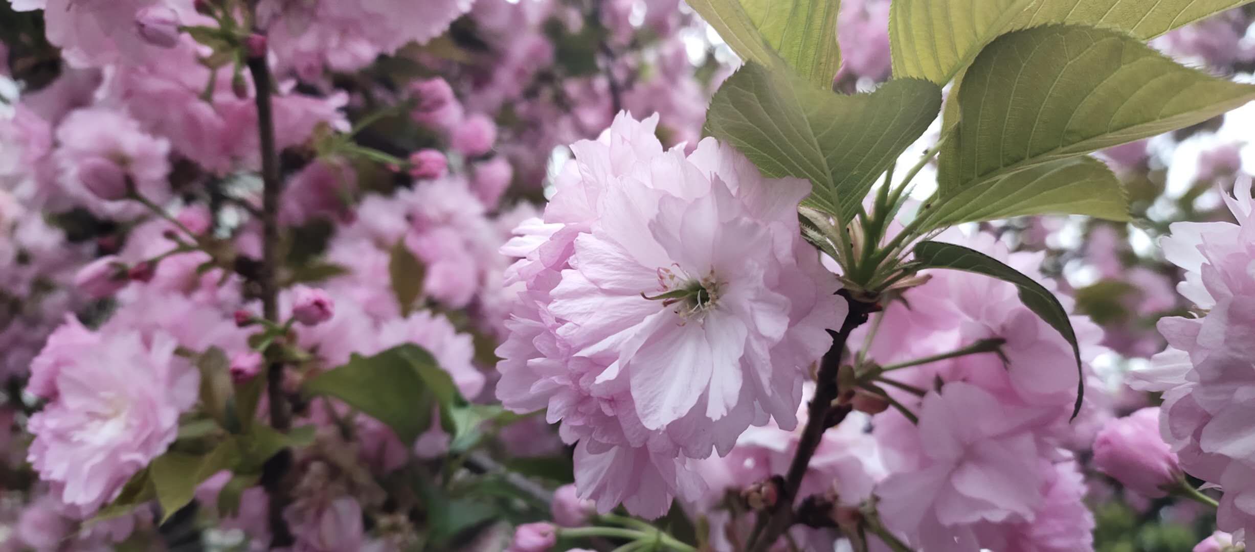 坐月子不是养身体而是废身体,有没有感觉坐月子像坐牢一样