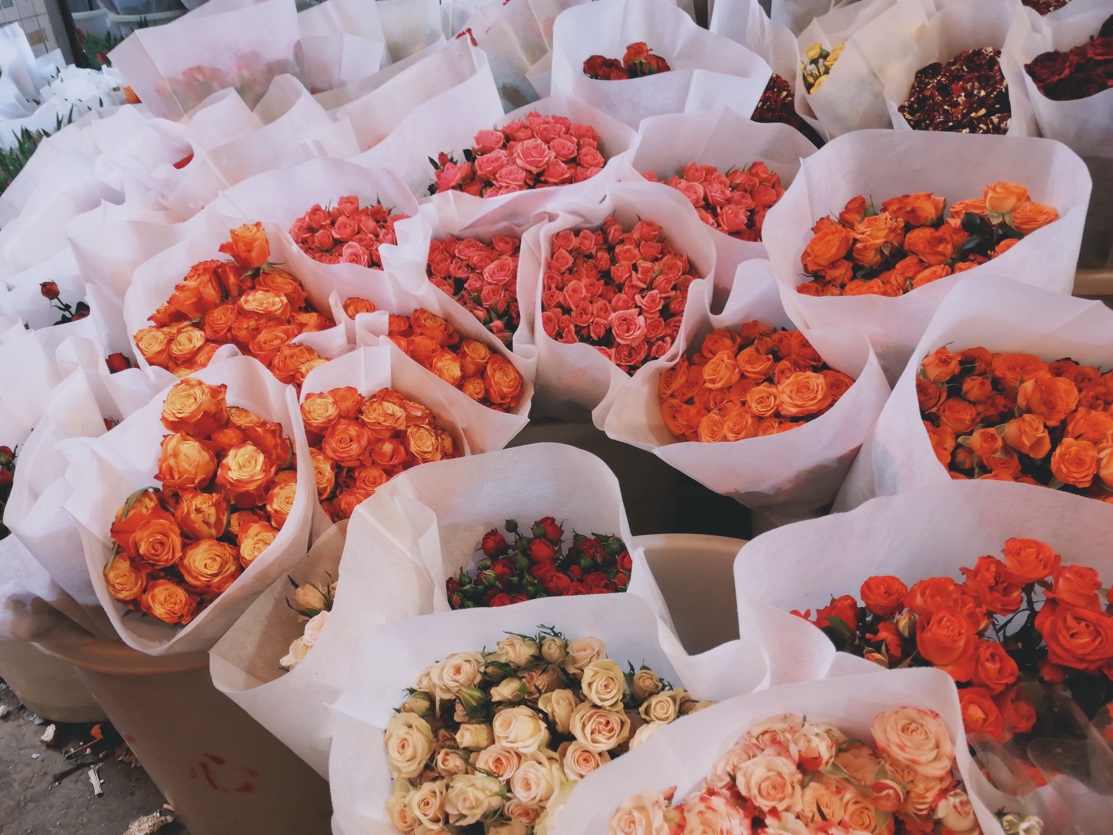 广州岭南花卉市场订花,广州岭南花卉市场攻略