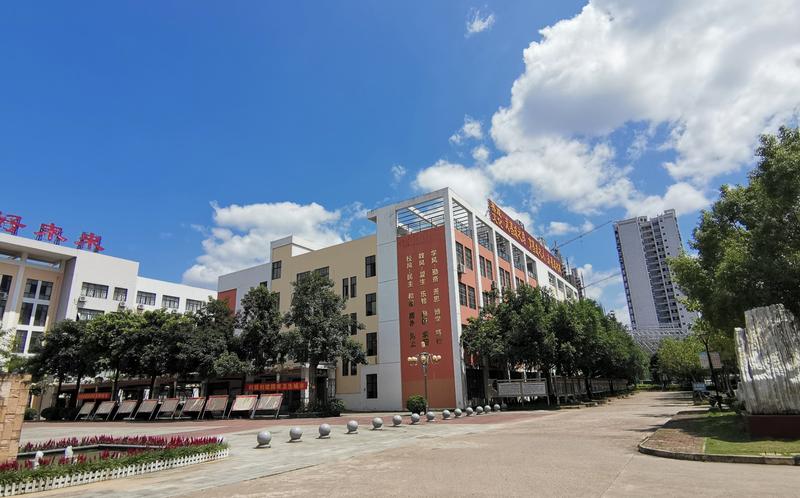 崇左附属四所好高中,崇左民师院附中师资力量