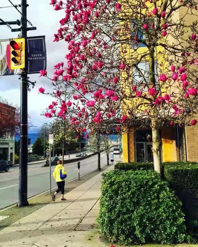 魁北克华人移民真实生活,移民魁北克真实生活