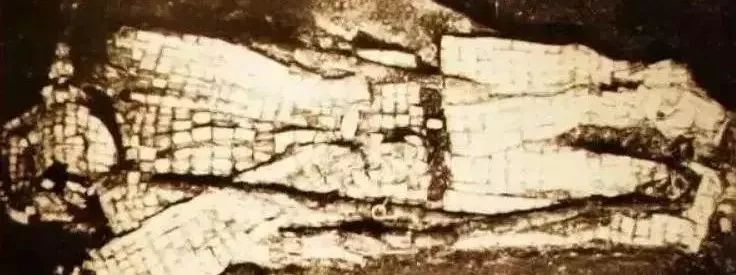 颤抖吧凡人完整版,颤抖吧凡人视频