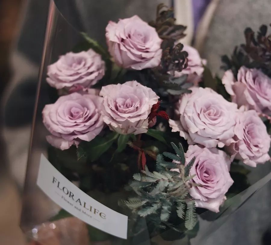 热销玫瑰,顶级进口玫瑰