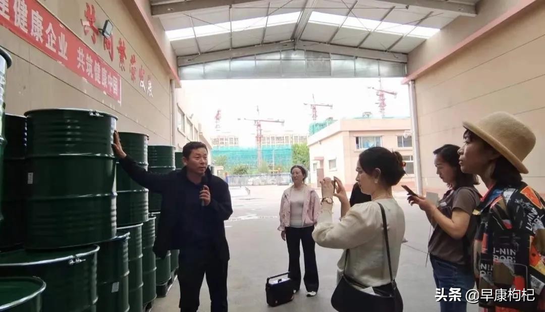 宁夏中宁县早康枸杞,早康枸杞宁夏中宁