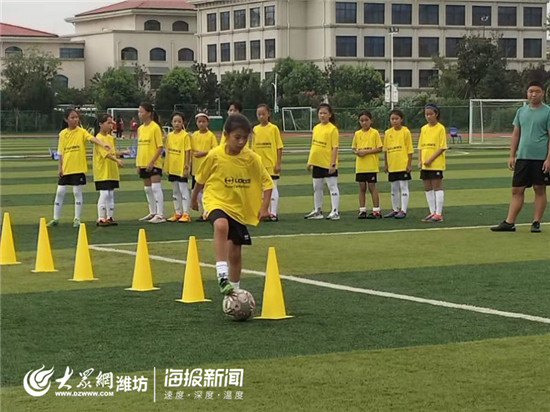 厉害了潍坊国字号荣誉,厉害的冠军