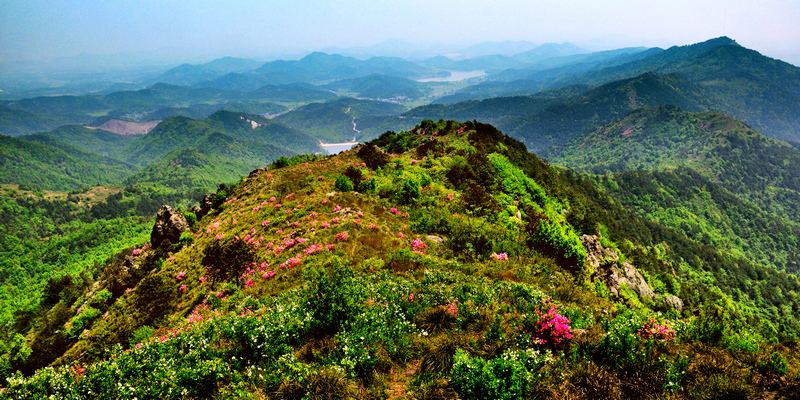 望江的成语,望江成语