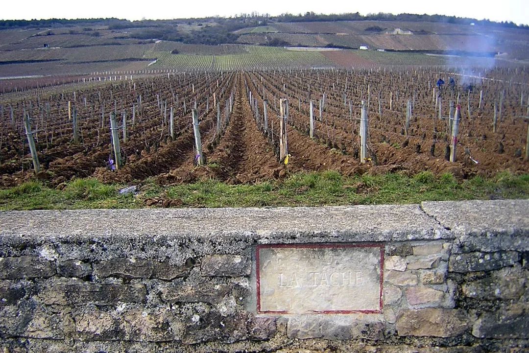 葡萄酒五大名庄产生背景,穿过历史的长河
