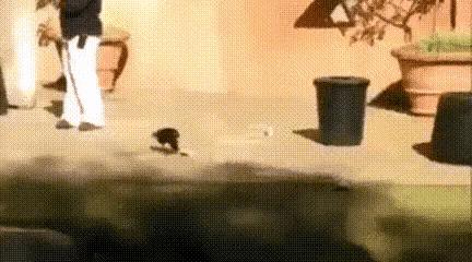 为什么加油站要24小时上班,为什么加油站一个工资1800