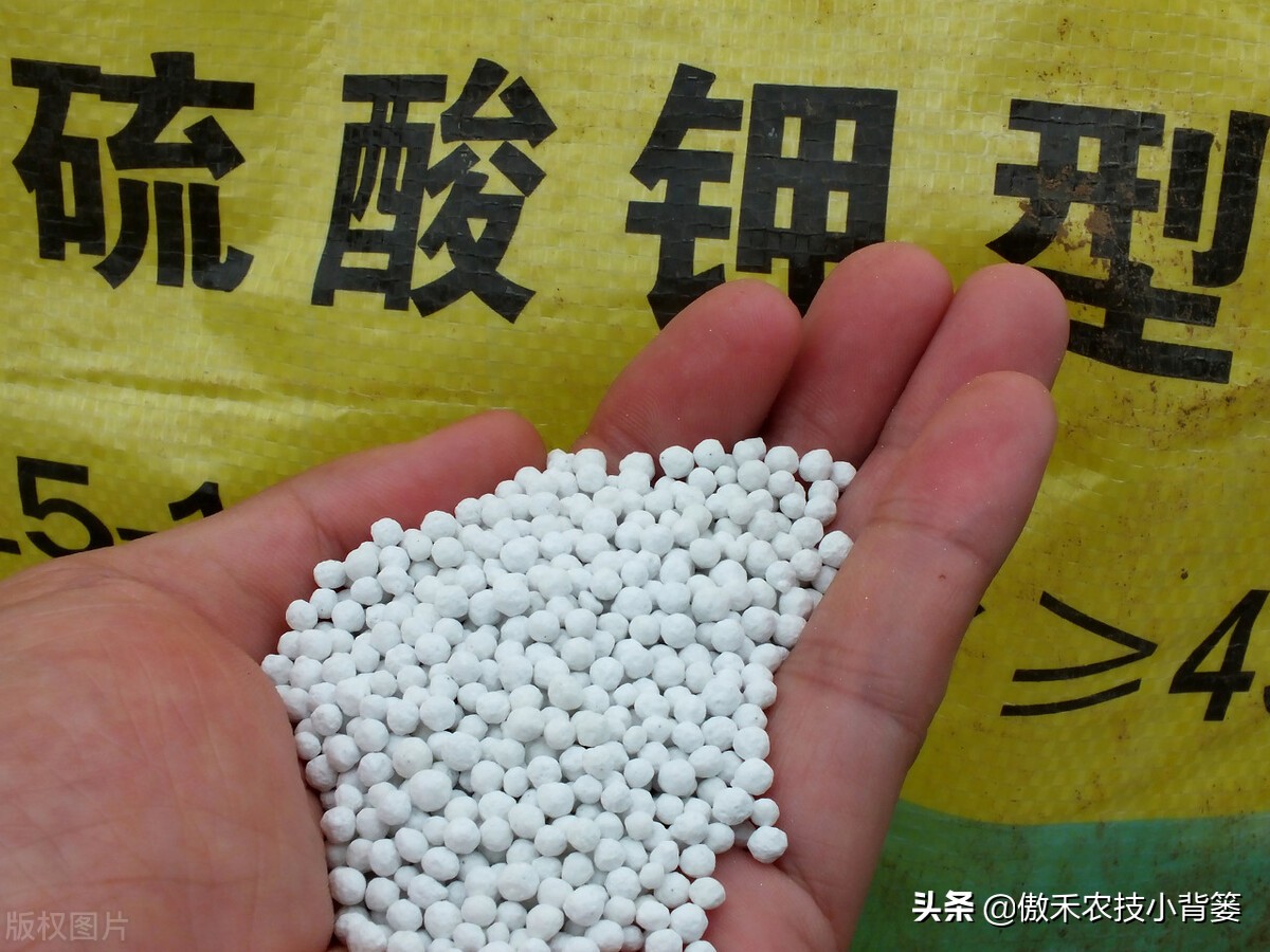 硫酸钾复合肥跟复合肥什么区别,硫酸钾复合肥与硫酸钾型区别