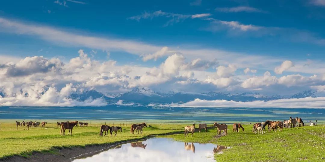 涓嶈兘鍘诲鍦扮殑鐞嗙敱,浜旂浜轰笉鑳藉幓鐤嗗唴鏃呮父
