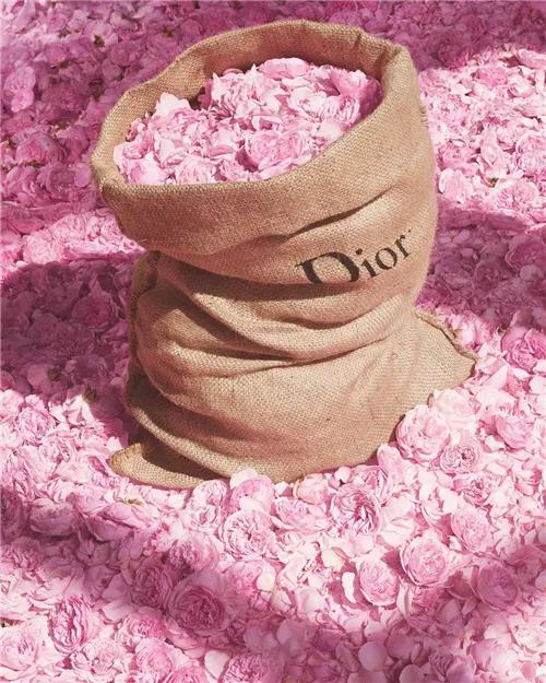 dior濂囪抗棣欐按浠锋牸,dior鐪熸垜棣欐按骞垮憡