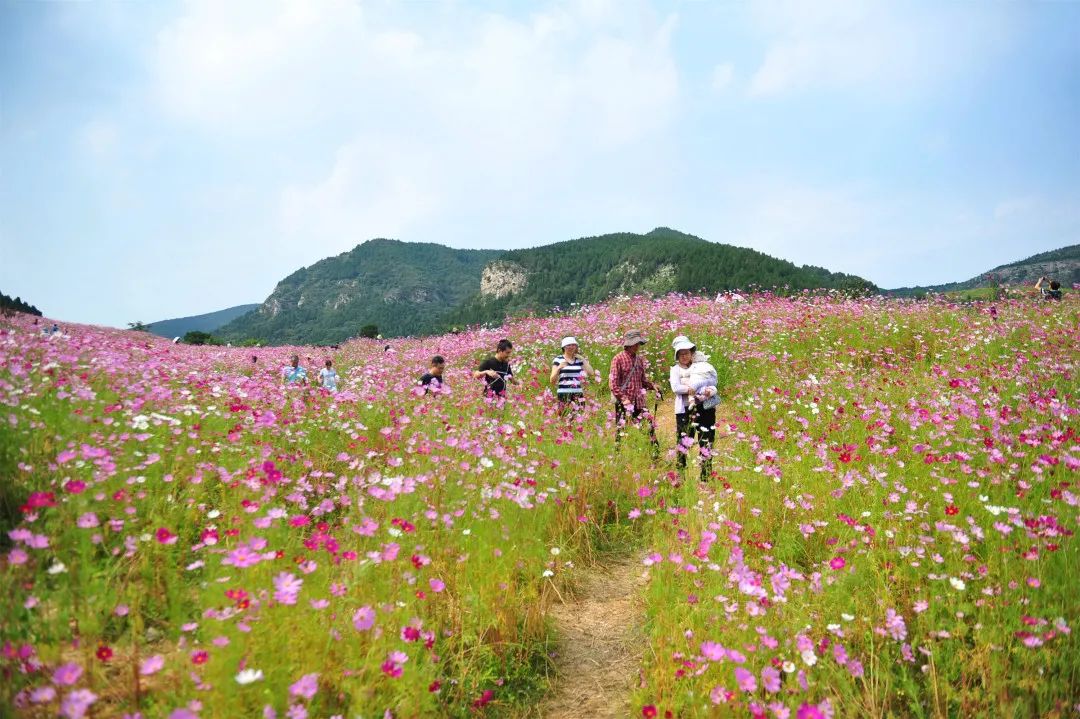 济南必去网红打卡地,济南网红打卡地经三纬三
