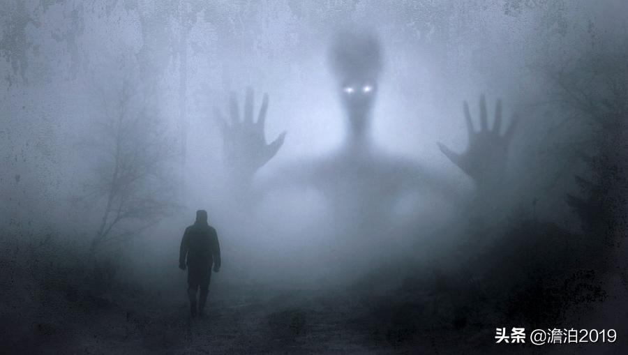 树上的男爵读后感,树上的男爵高考满分作文