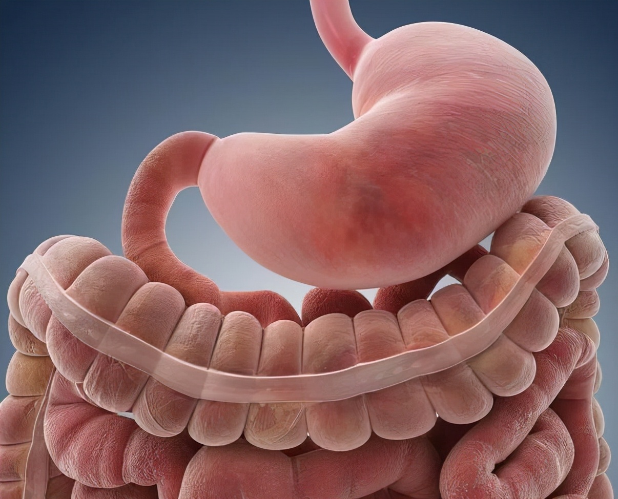 便秘怎么判断是哪种便秘,怎样判断自己的便秘严重程度