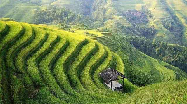 浙江有哪些有瀑布的旅游景点,浙江旅游景点推荐瀑布