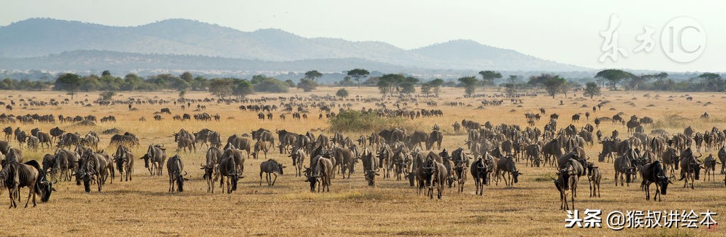 时隔多年再读一本书,时隔三十年的书籍
