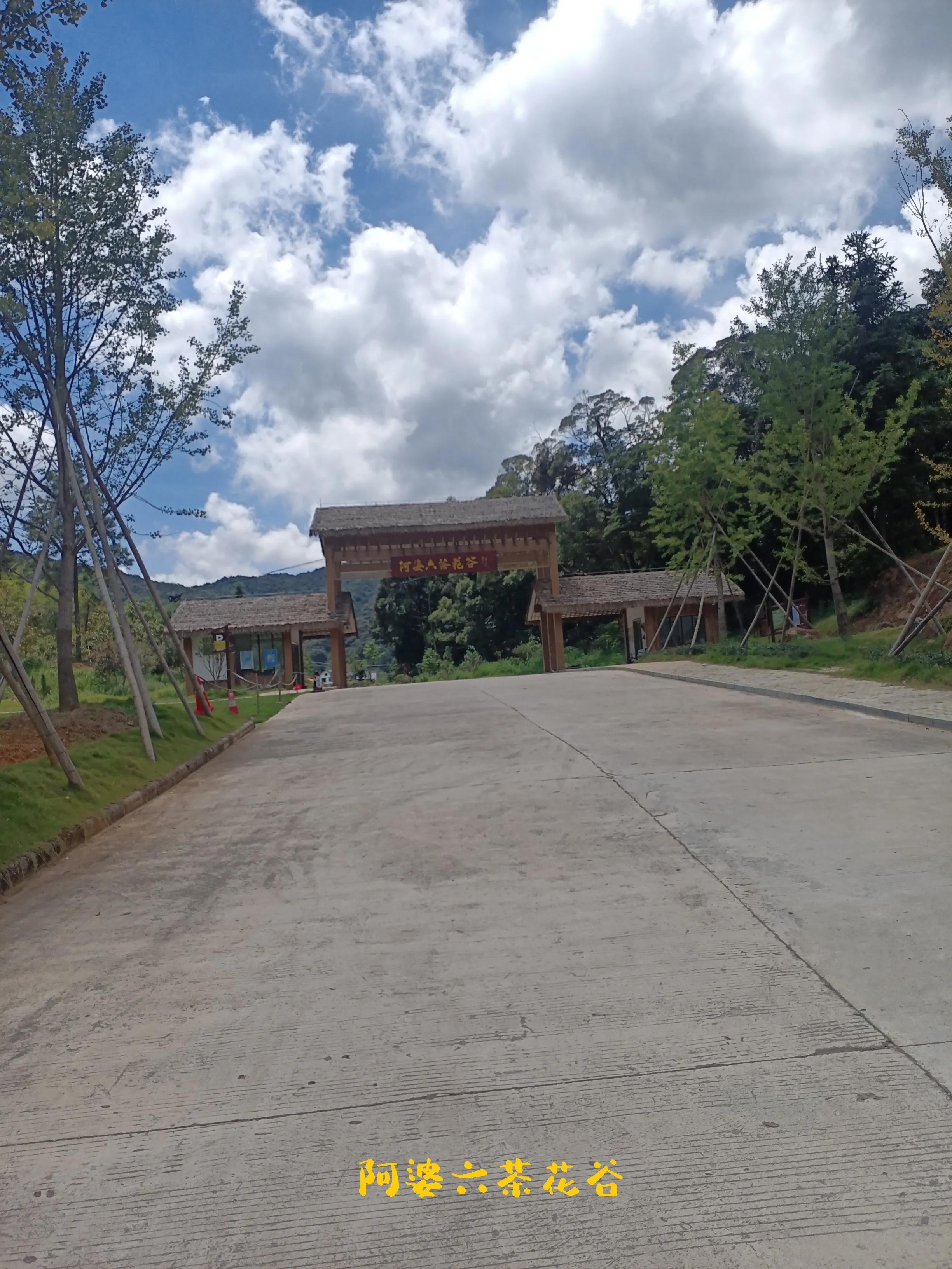 乘公交去乡下:广州海拔最高的村落-阿婆六村