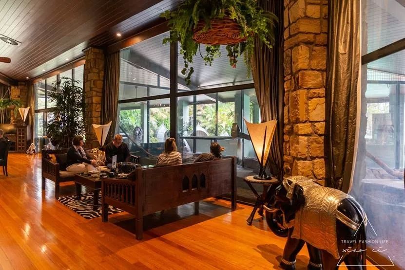 澳洲|春意堪培拉,看袋鼠、品酒、赏花、住进动物的家