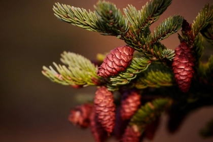 怎么帮助孩子戒掉网络成瘾,如何防止和预防孩子网络成瘾