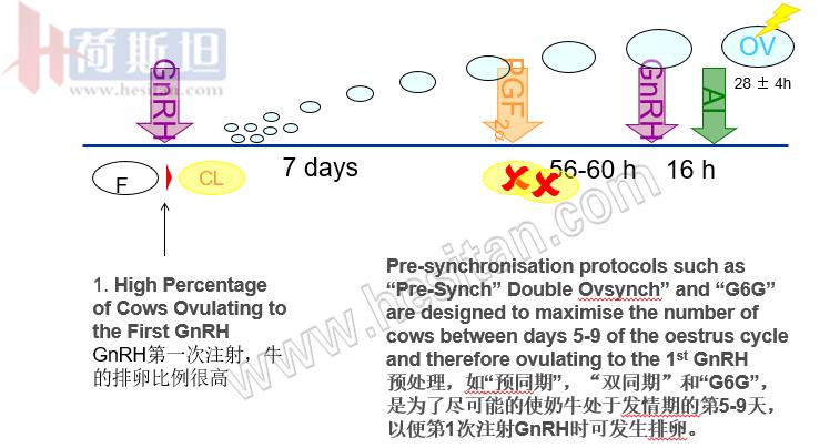 繁殖管理——使用双PG同期发情提高繁殖力