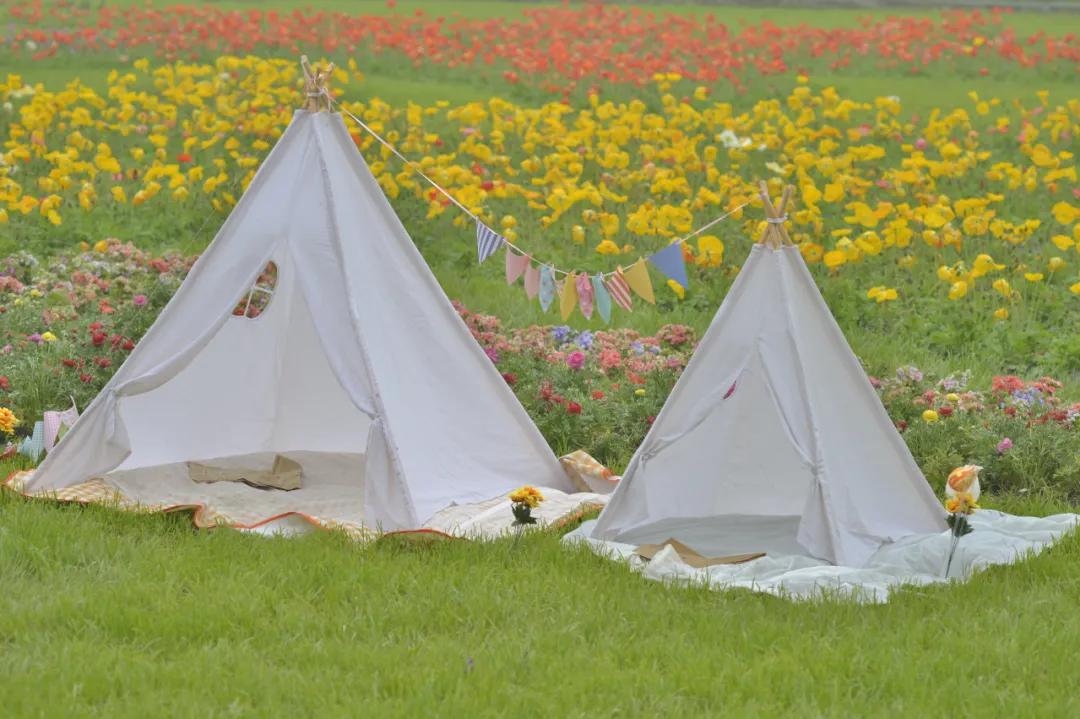 战旗村妈妈农庄,到战旗村妈妈农庄怎么走