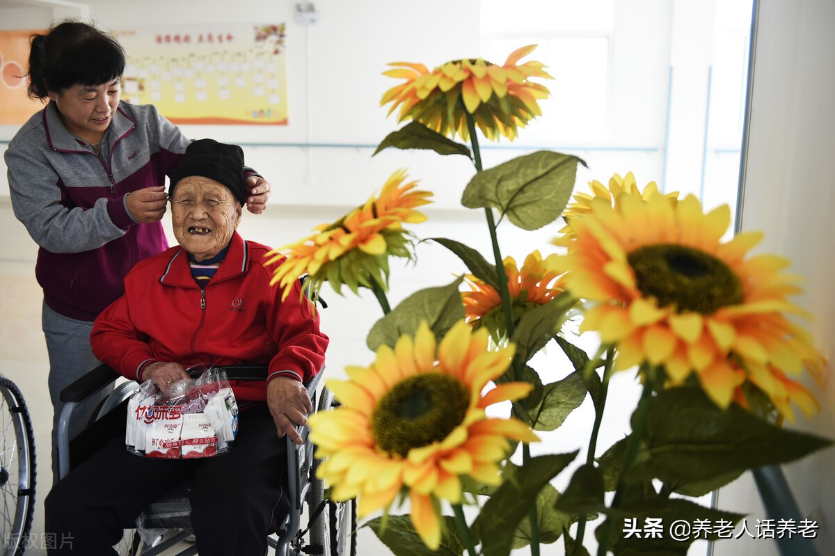 居家养老政府购买服务投标书,居家养老服务采购项目合同