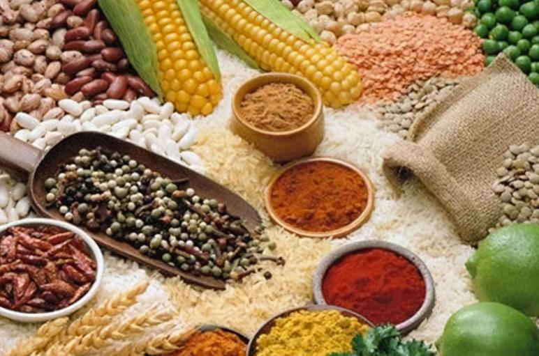 长寿之王龚来发,长寿之王龚来发终身未娶