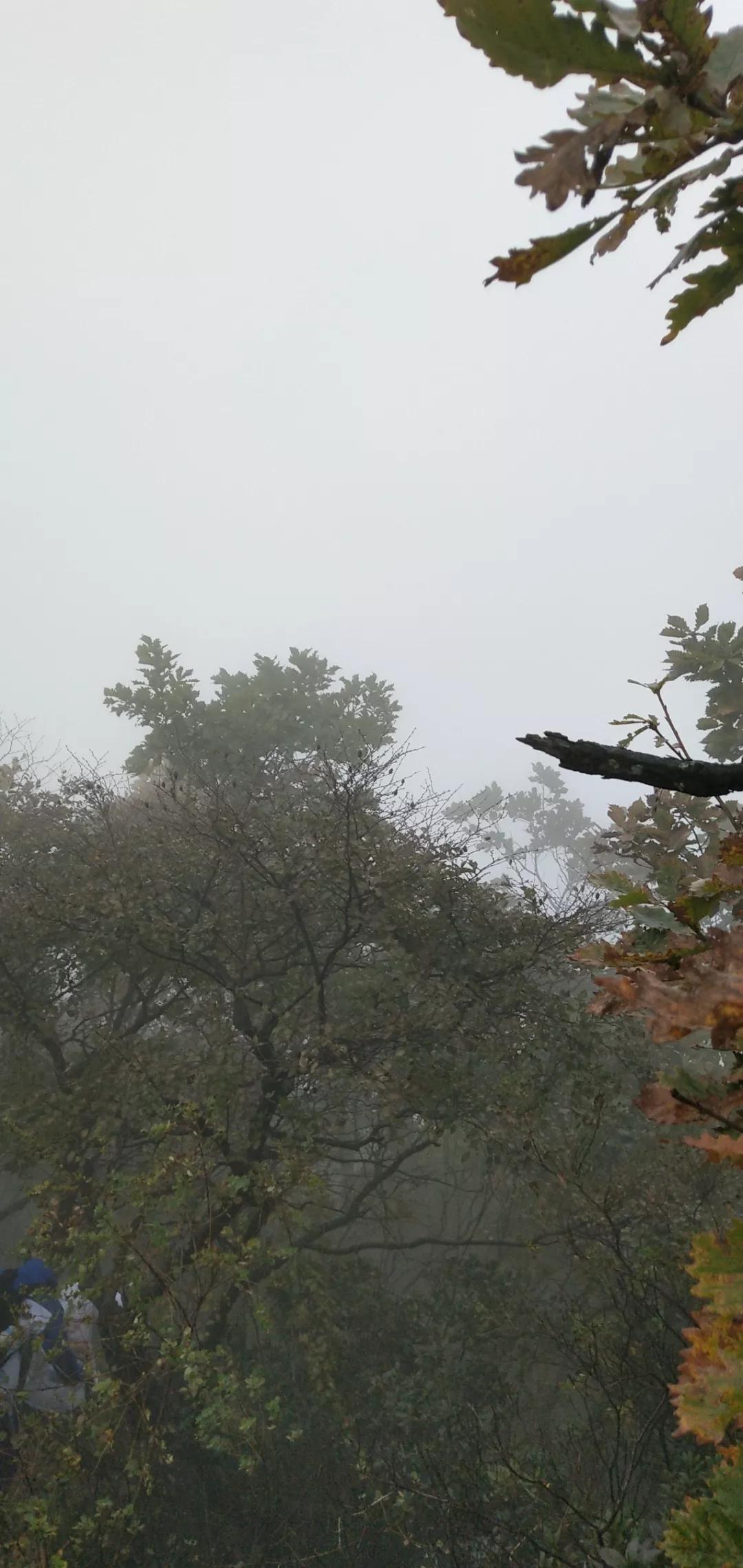 庄河天门山国家森林公园,庄河天门山冰雪大世界