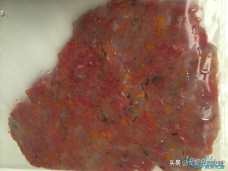 手把手教你做龙鱼最强营养秘方食谱--鲜虾牛肉狮子头，别馋哈