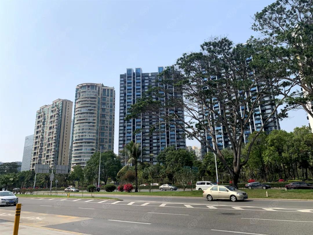 深圳学区房怎么申请学位,深圳学区房最新学位政策