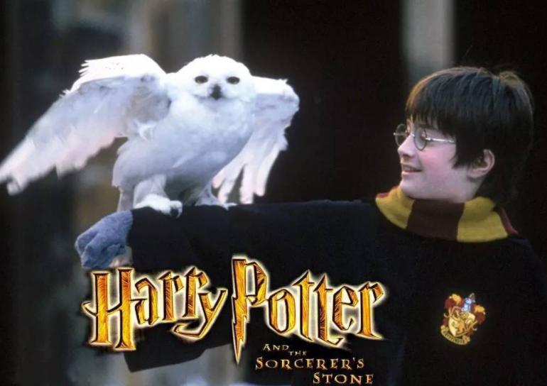 猫头鹰自古以来都是不祥之鸟,猫头鹰不祥的鸟