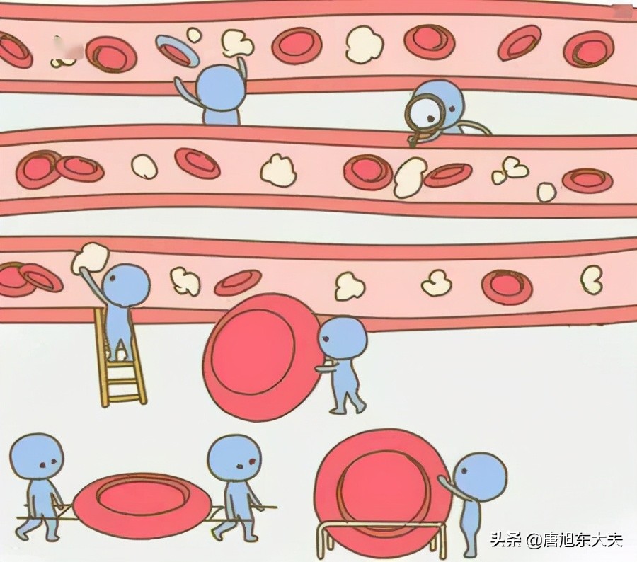 血常规白细胞和淋巴细胞低是什么意思,孩子血常规白细胞20以上严重吗