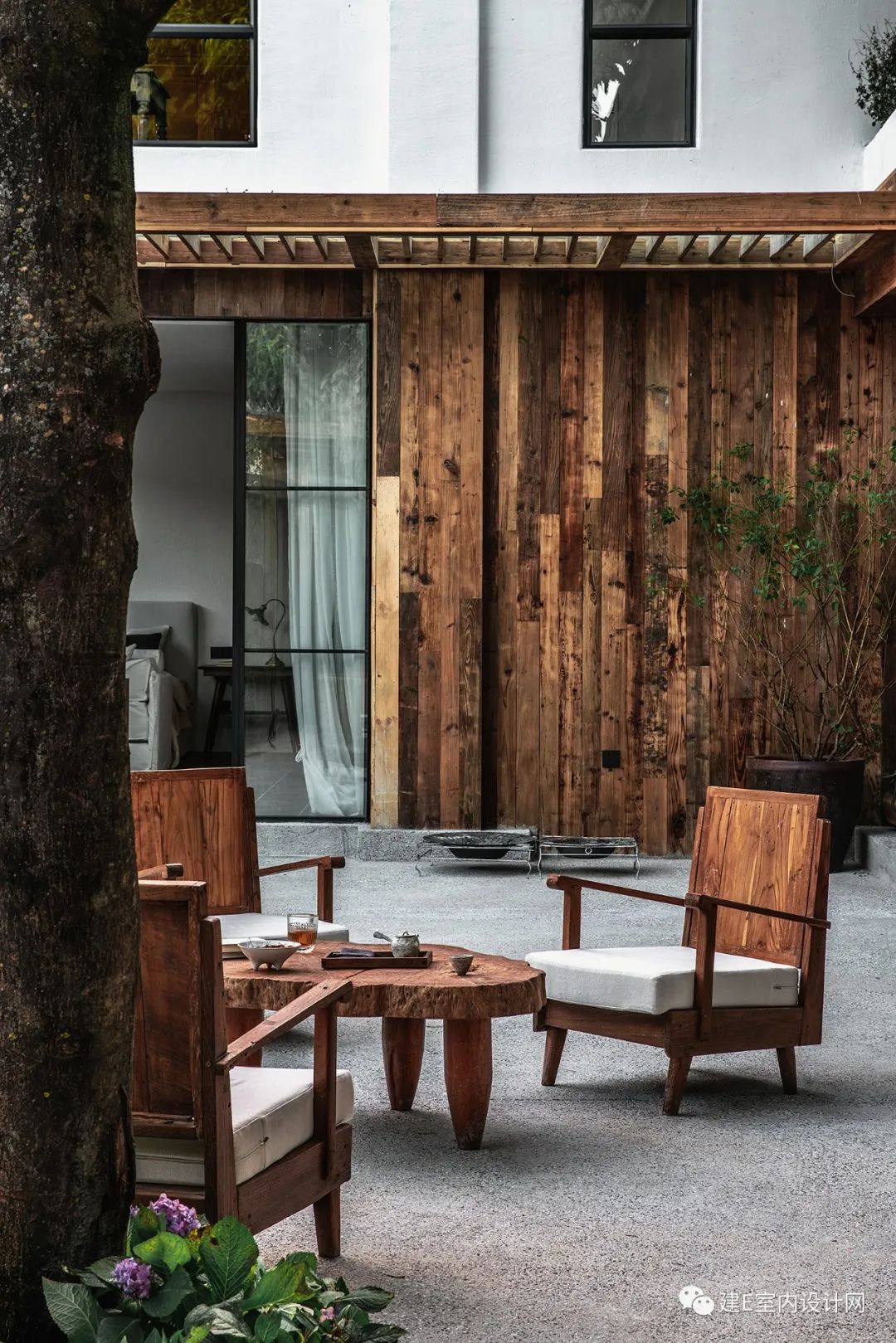 乘风破浪谢柯,谢柯个人简历