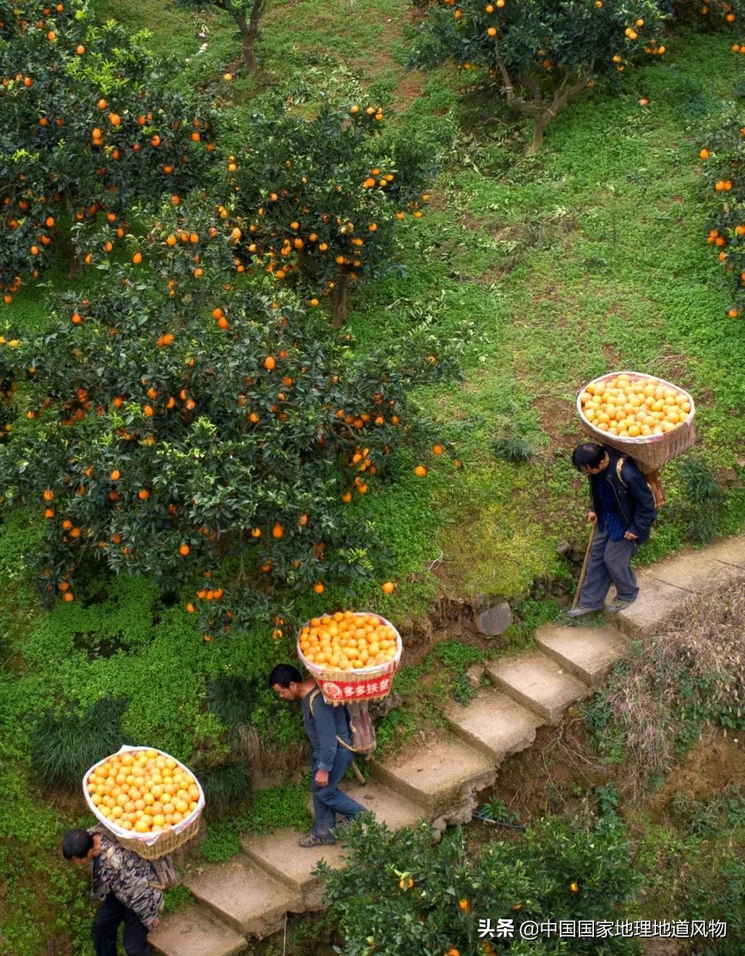 江西vs湖南哪个更能吃辣,江西和湖南pk辣椒