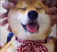 2024分类考试面试准考证怎么打印,2021面试准考证打印入口