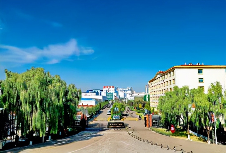 致力探索绿色矿山发展新途径,打造智慧矿山绿色矿山