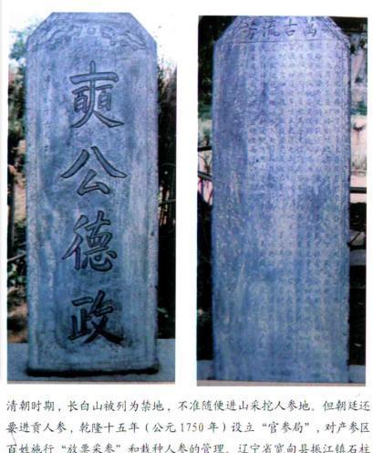 现在人参和古代人参,中国人参文化介绍