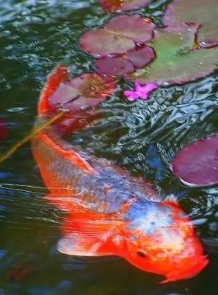 初试过了国家线都可以进入复试吗,如果考试没过怎么办