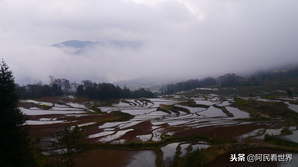 云南普者黑元阳坝美6天旅游攻略,云南建水普者黑旅游路线