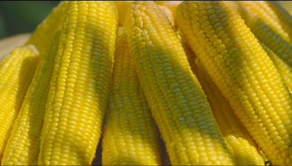 广特播报栏目,广特播报上海